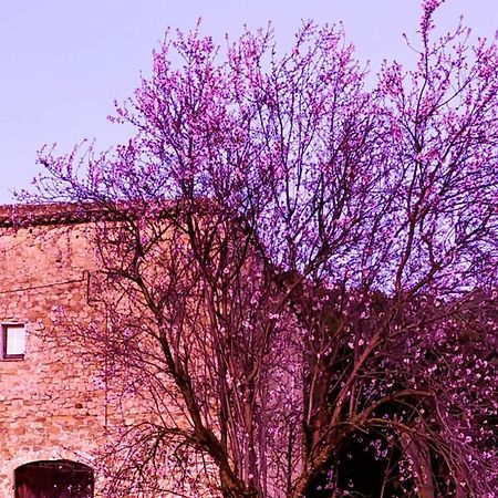 Apartament El Castell De Seguero Beuda Zewnętrze zdjęcie