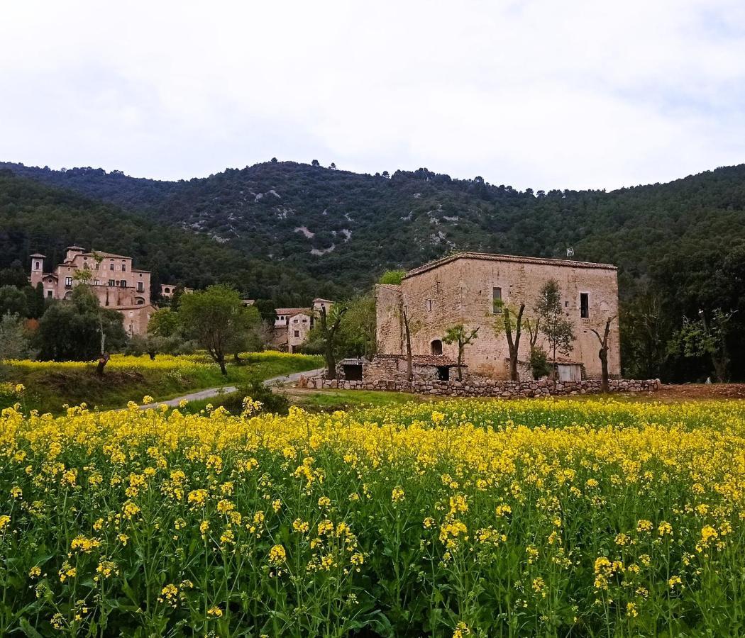 Apartament El Castell De Seguero Beuda Zewnętrze zdjęcie