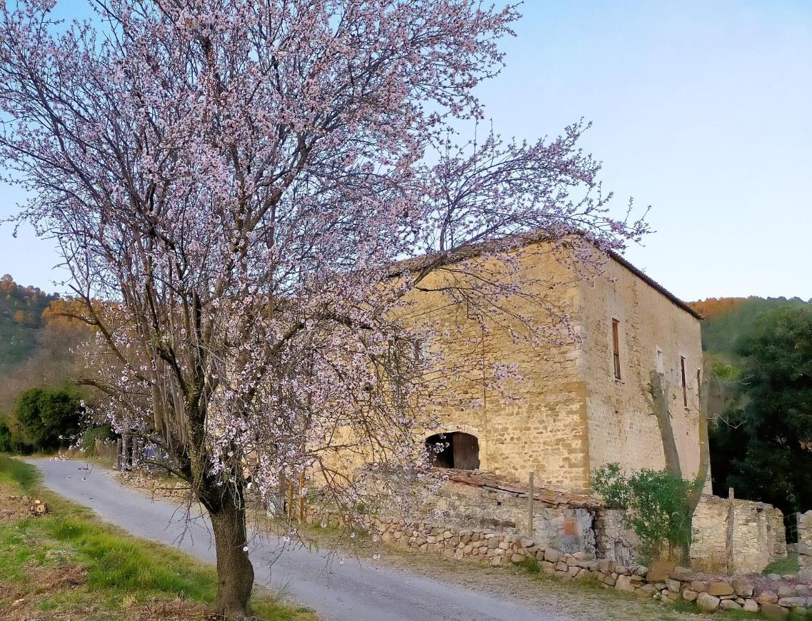 Apartament El Castell De Seguero Beuda Zewnętrze zdjęcie
